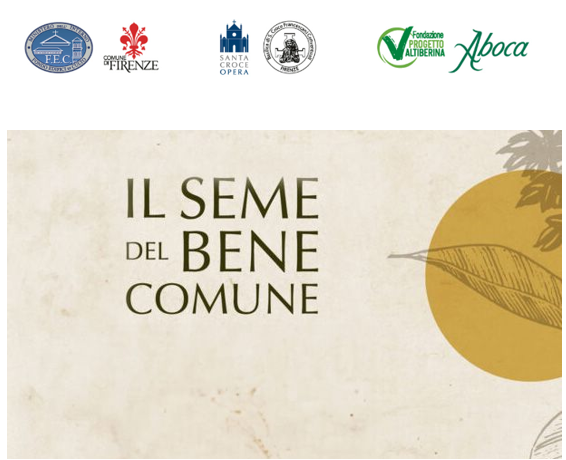 seme del bene comune3